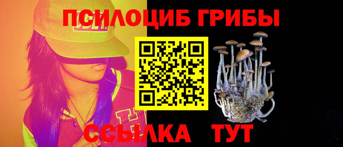 Псилоцибиновые грибы мухоморы Клинцы