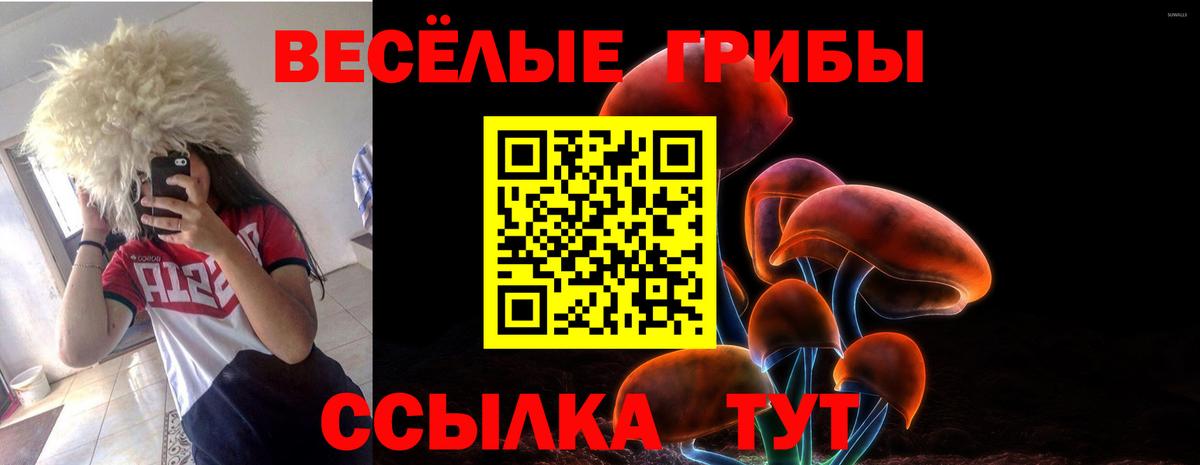 Клинцы  Псилоцибиновые грибы GOLDEN TEACHER  Вход с VPN 